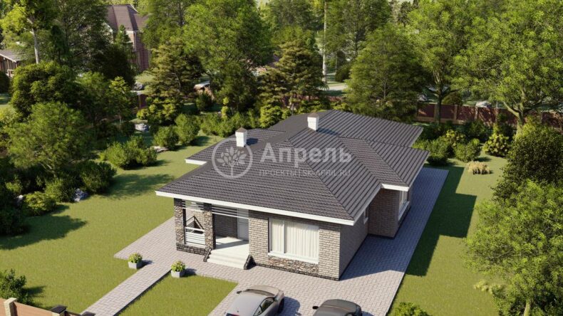 pd_2022_1_2 - Photo1